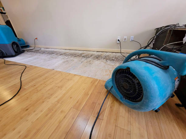 Professional Basement Flood Cleanup technician working in Powers, OR